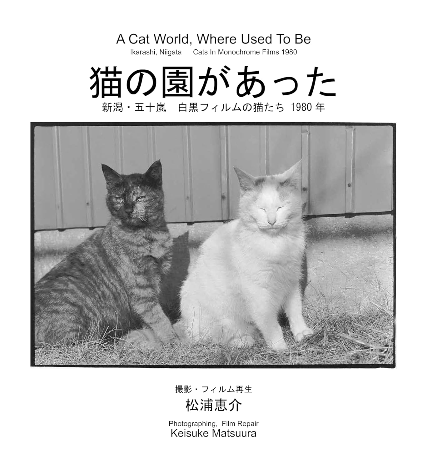 猫の園があった―新潟・五十嵐 白黒フィルムの猫たち 1980年―