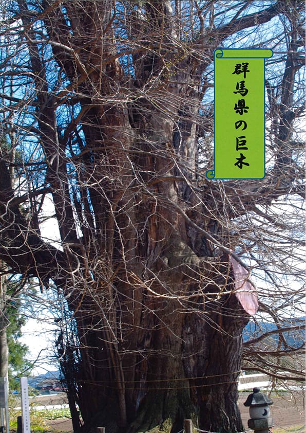 群馬県の巨木