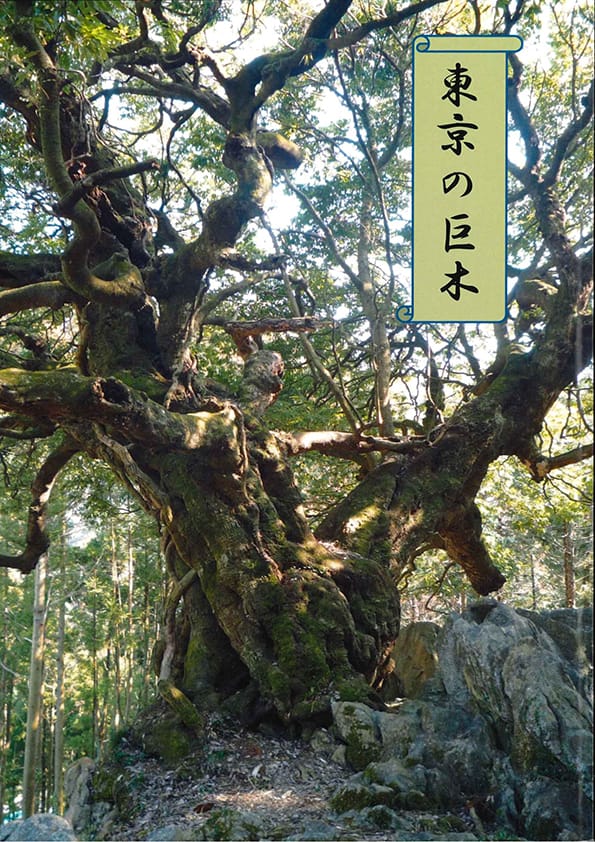東京の巨木