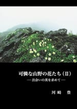 可憐な山野の花たち(Ⅱ)