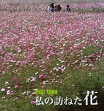 写真集 私の訪ねた花