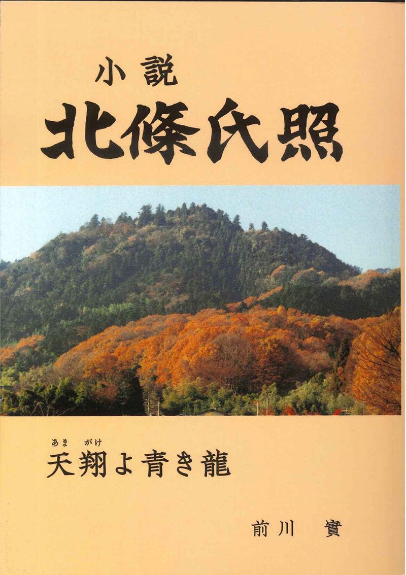 小説 北條氏照